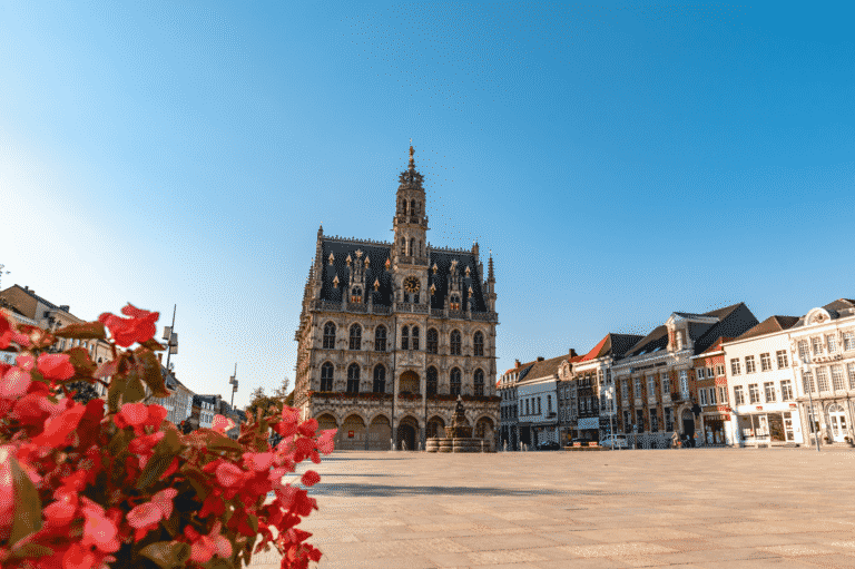 stadhuis van Oudenaarde met bloemen vooraan